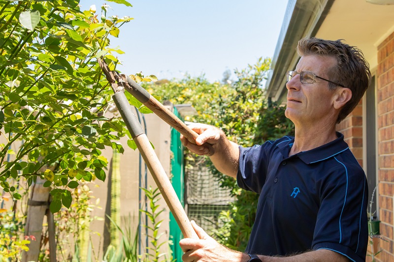 Gardening by Home Aged Care Services Social Programs
